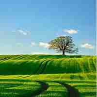 专​业﻿Vue3脚‍本​